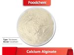 Calcium Alginate