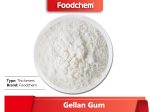 Gellan Gum