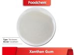 Xanthan Gum