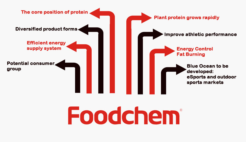 Sports Nutrition Product Innovation Direction-Foodchem