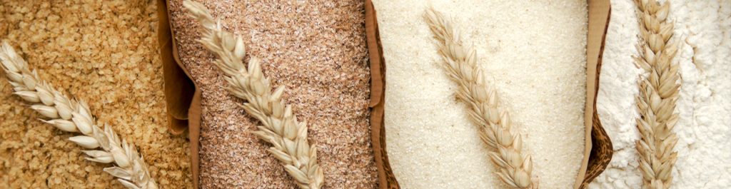 Vital Wheat Gluten