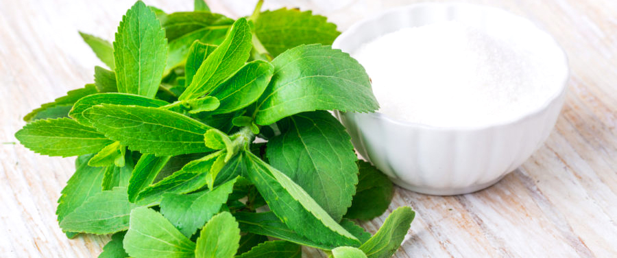 Stevia supplier