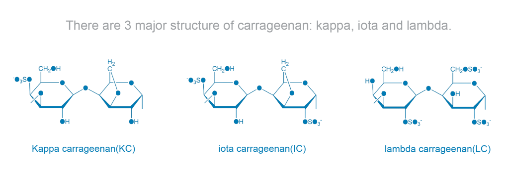 Foodchem