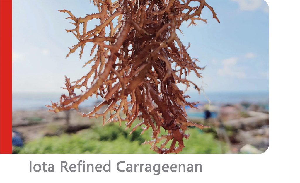 carrageenan